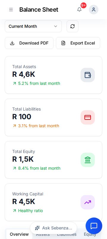 Balance Sheet — mobile screen